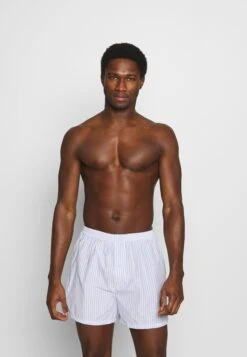 Pier One 5 Pack - Boxer Shorts - Light Blue/White 10 Pier One 5 Pack - Boxer Shorts - Light Blue/White -Pier One Sales Store 139342f1516744e4937742c5f01eeccb