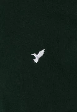 Pier One 5 Pack - Basic T-Shirt - White/Ark Green/Blue -Pier One Sales Store 19822f95d4c243b5a7cfa8d503e23581