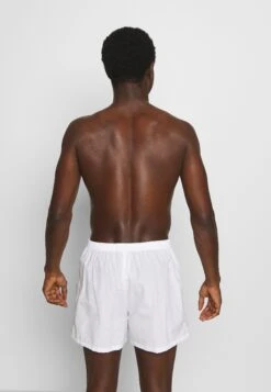 Pier One 5 Pack - Boxer Shorts - Light Blue/White 8 Pier One 5 Pack - Boxer Shorts - Light Blue/White -Pier One Sales Store 687ef1808b144438a634b5f088762ab1