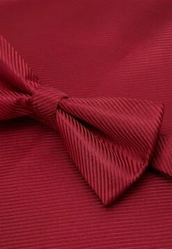 Pier One Set - Tie - Bordeaux -Pier One Sales Store 78c94279a24a403593e284544b5065b2