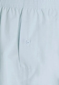 Pier One 5 Pack - Boxer Shorts - Light Blue/White 13 Pier One 5 Pack - Boxer Shorts - Light Blue/White -Pier One Sales Store 8d526a81d413439291c57bcecfa7d443